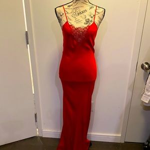 Divine Heritage Silk Dress